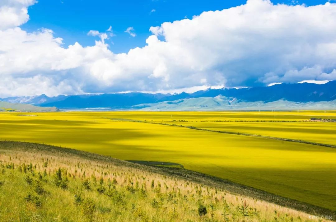青海智汇，未来生活启航，科技新境界探秘