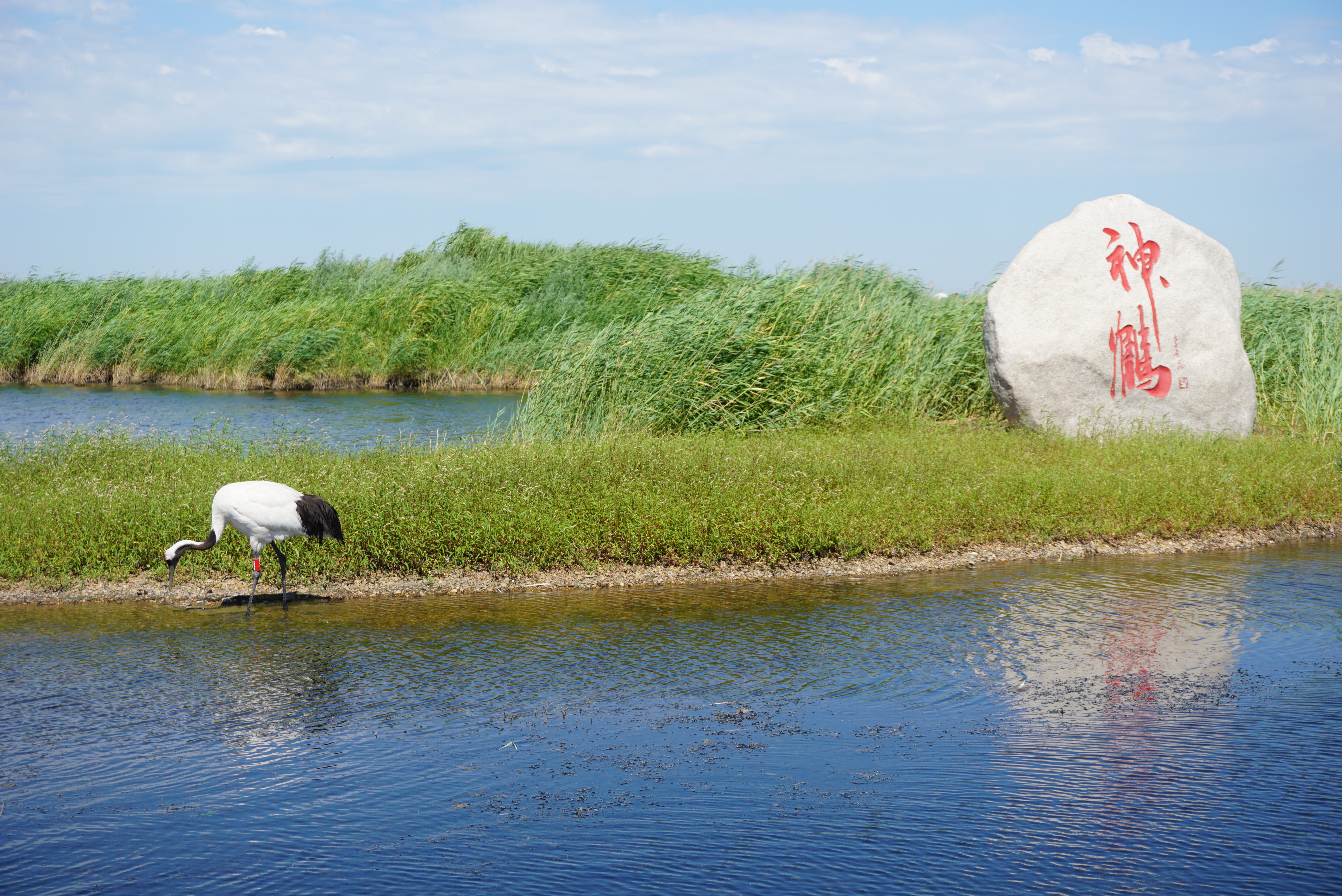 运城,古今交融的魅力之都探寻之旅
